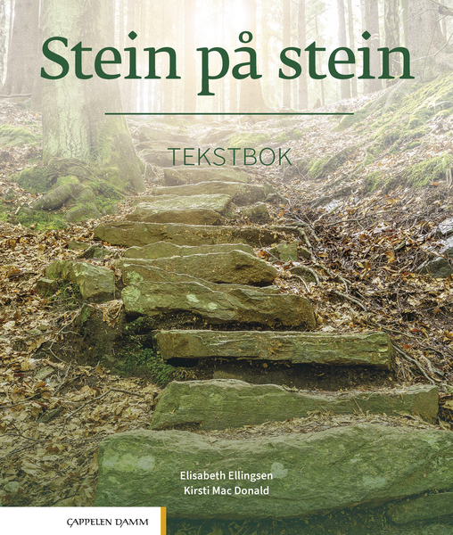 Stein på stein tekstbok image